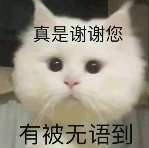 神仙姐姐拜邪门胡仙的瓜
