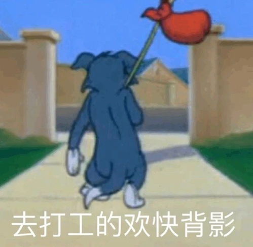 最新表情包图片微信聊天,别过来,我怕猪队友