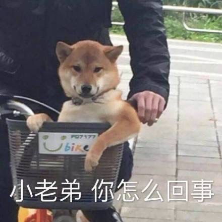 好运泡泡澡的相册沙雕表情包头像