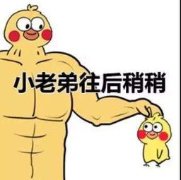 抖音七彩小黄鸭全套表情包哪里有被套回的小黄鸭