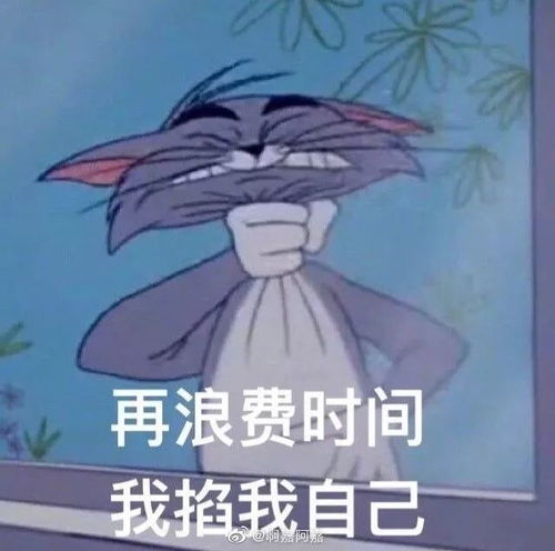 活动