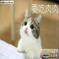 猫咪吃肉肉表情包微信头像图片大全