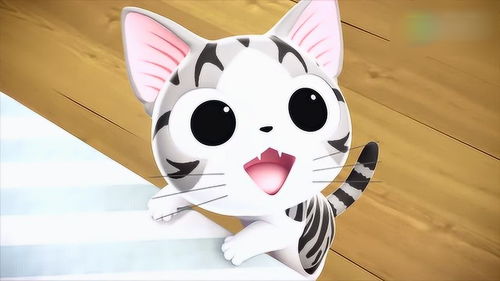 甜甜私房猫小奇,你要捣蛋了吗