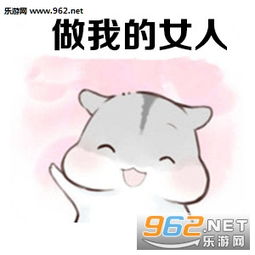 我喜欢你做我的女人表情图片我喜欢你表情包仓鼠版下载乐游网游戏下载