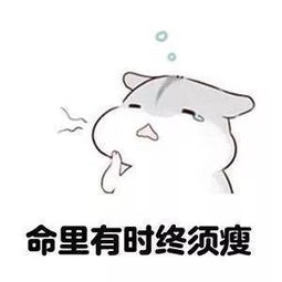 每次想大开吃戒的时候,我就这样安慰自己