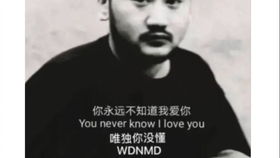 茄子wdnmd表情包高清