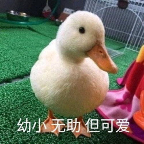 近期单位占用法定节假日周末时间可以申请加班补贴吗