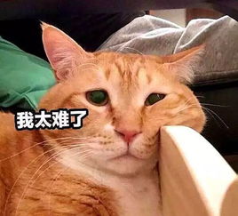 正一琴行大门被砸,执法人员赶到现场
