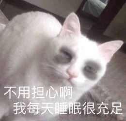 您的睡眠不足修仙表情包到账了,请注意查收网友过于真实