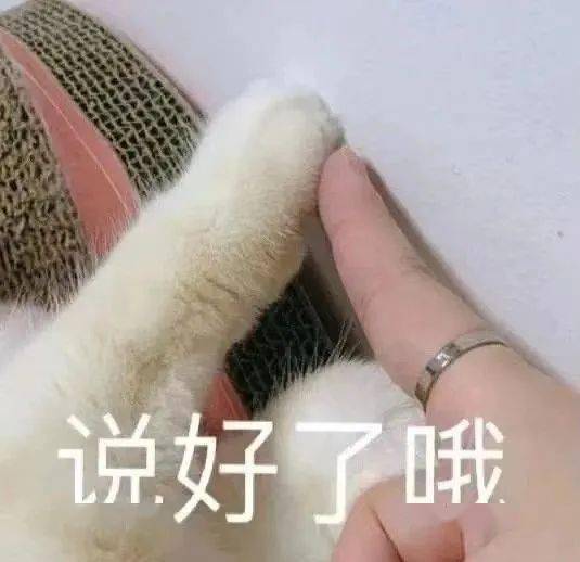 曲根老师的个人展示页