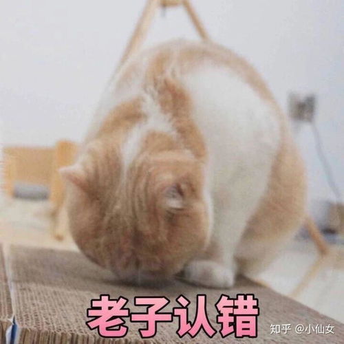 沙雕表情包l爱你,好了挂了