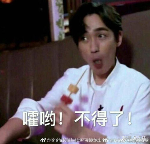 对于女孩来说,颜值和实力哪个更重要