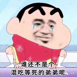 求你们别再去干保险送人头了