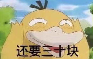鸭子表情包