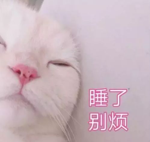 有人吗表情包可爱表情