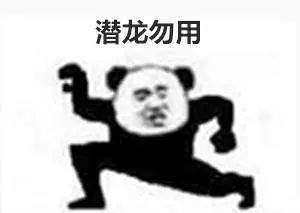 抖音武功秘籍我将毕生武功全都传给你熊猫头无水印表情包