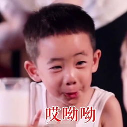 陈小春演唱会上证实应采儿怀二胎,jasper升格当哥哥