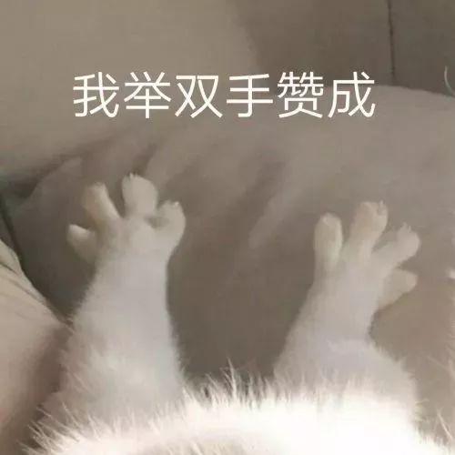 表情包丨沙雕灵魂斗图
