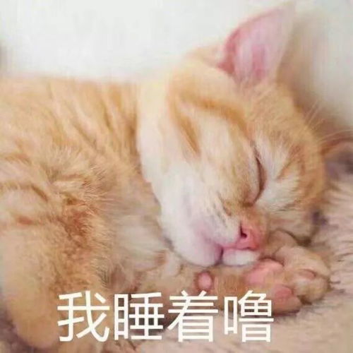 斗图小表情6.16