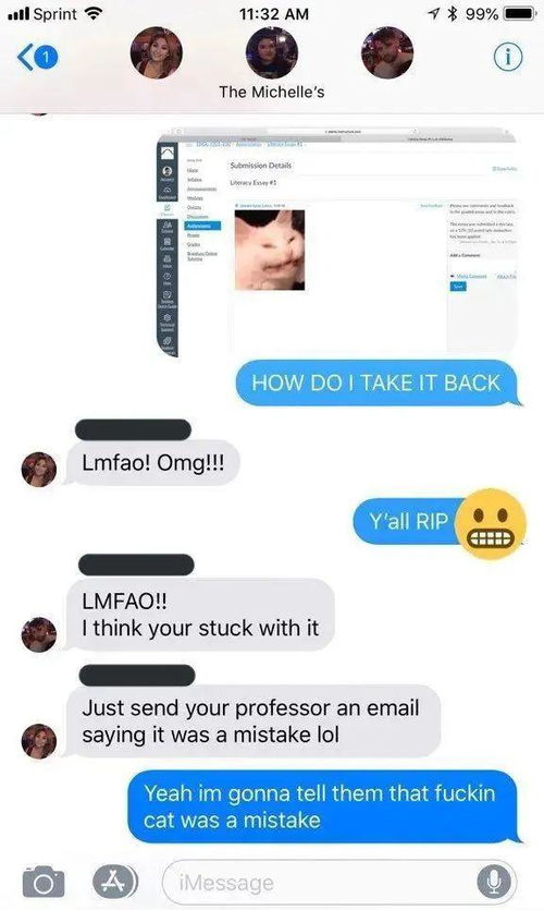 不小心将自家猫的表情包发给教授,本以为完蛋了,剧情却出现转折