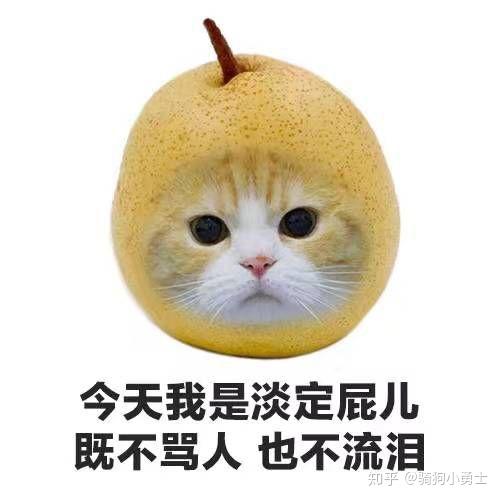 如何看待自己身边那些经常刷抖音的人