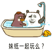 哦买噶的盖饭娱乐