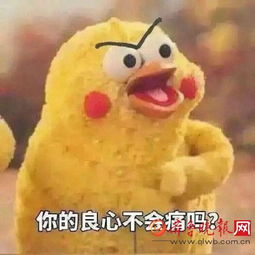 你的良心不会痛吗斗图表情包脆皮炸鸡鹦鹉兄弟版表情包