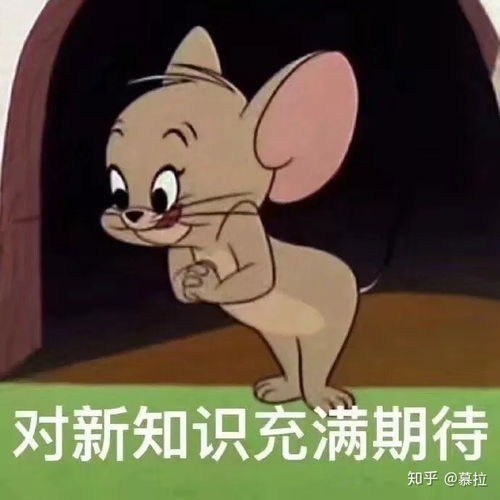 大连海事大学考研复试要注意什么应该如何准备