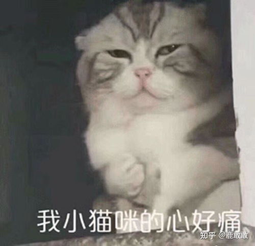 男朋友哄人但是又不真的解决问题怎么办