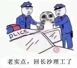 对方不想和你说话,并向你扔了个长理表情包