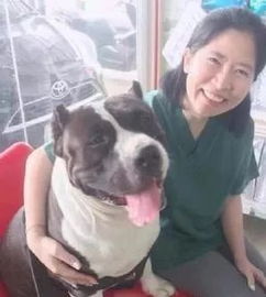 铲屎官以为狗子吞了一只小黄鸭,到医院却检查出一窝
