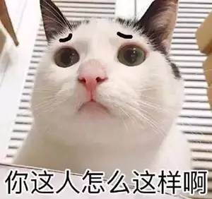 养着破坏力分分钟挠破3万沙发的猫咪,我就问你还咋搞装修