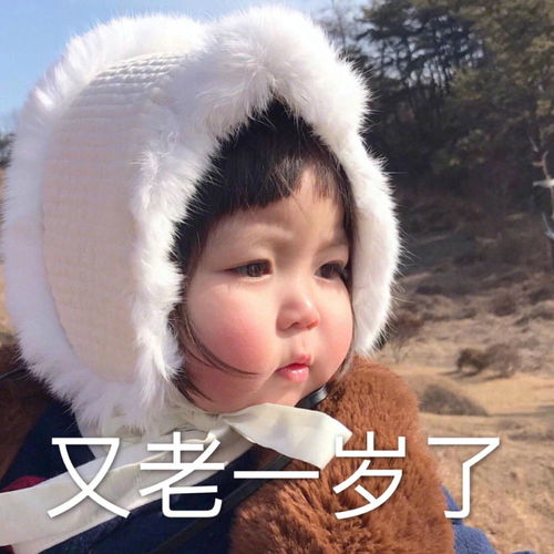 跨年发的可爱表情包