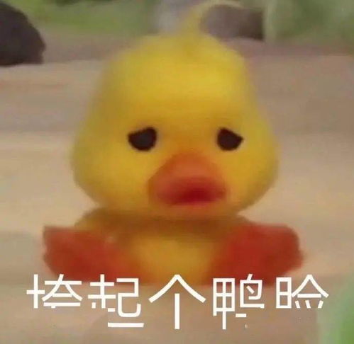 那个很火的小鸭子表情包
