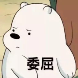 甭跟我这刷存在感帮倒忙