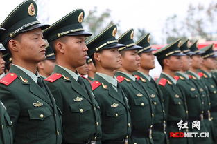 常德消防新兵下队现最美表情包组图