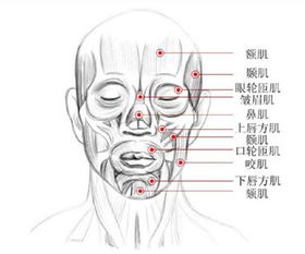 男子在微信上给客户发表情反被投诉这个表情太奇怪了