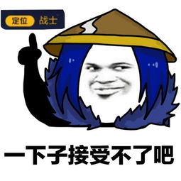 王者荣耀表情包一下子接受不了吧