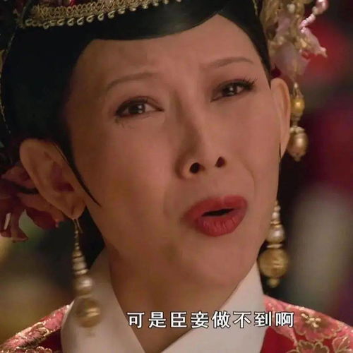 每日沙雕表情包