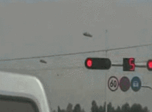 狗gif表情包搞笑gif