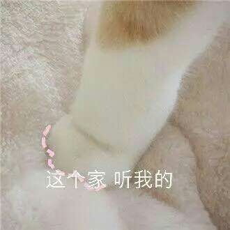 女生专用表情包