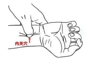 中伏除病根一年最热时,也是最关键时机,记住这四个三