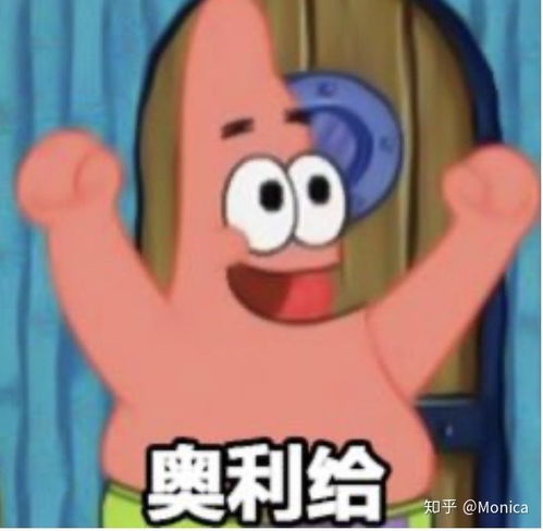 边牧的智商可以高到什么程度