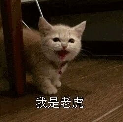 我是老虎表情包我心态不是很好容易发火表情包下载乐游网游戏下载