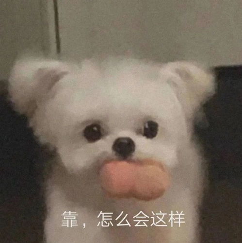 可爱斗图表情包真的没有生气啦
