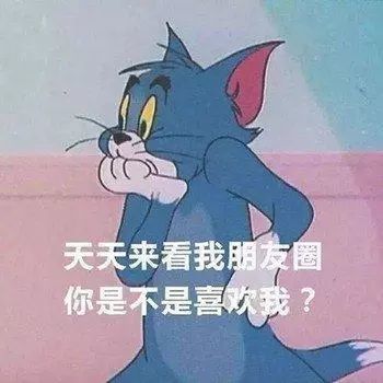 猫和老鼠表情包天天来看我的朋友圈,你是不是喜欢我