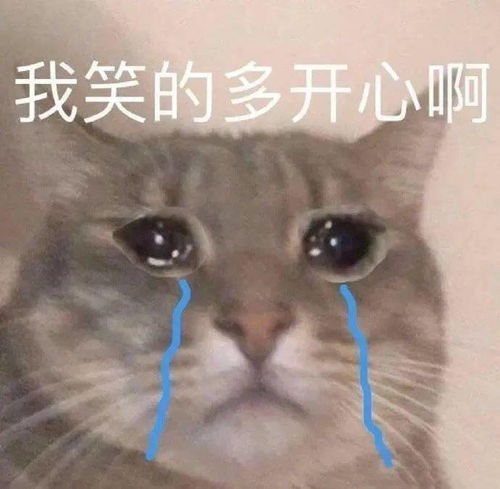 奇怪的表情又增加了