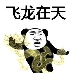 熊猫头练功表情下载熊猫头练功表情包高清无水印极光下载站
