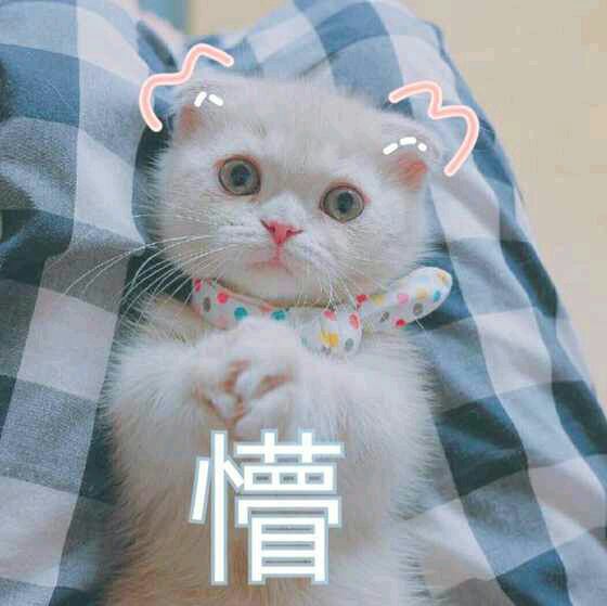 日常