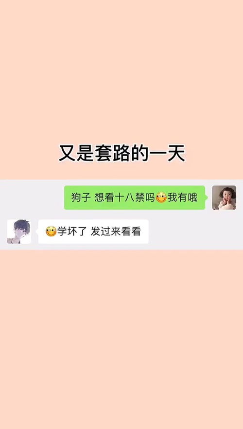 艾特男朋友套路表情包沙雕操作表情包小可爱已上线聊天记录